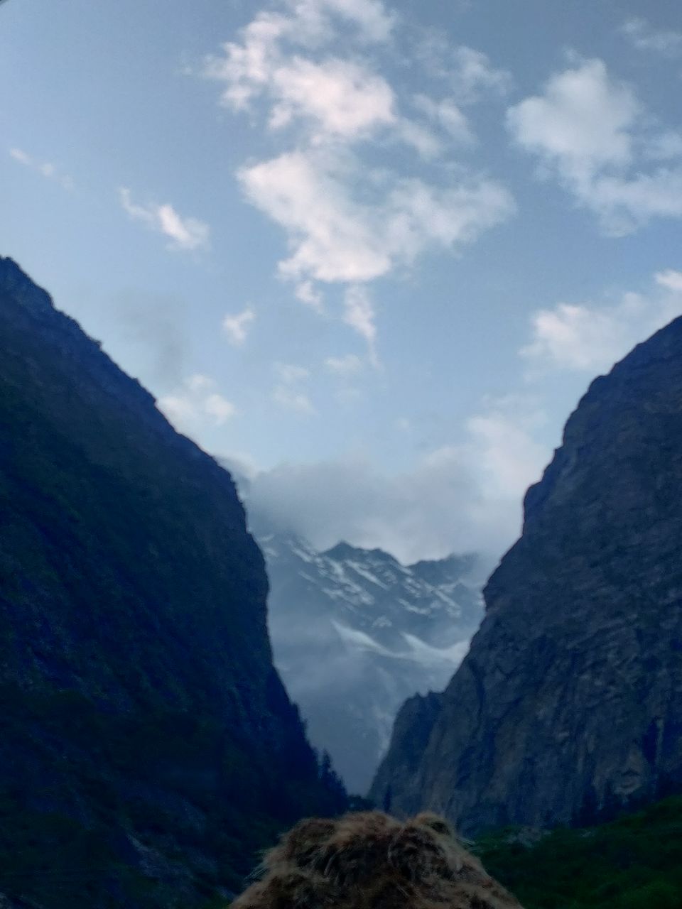 Photo of Valley of Flowers Trek- Everything You Need To Know by Prerika Gupta