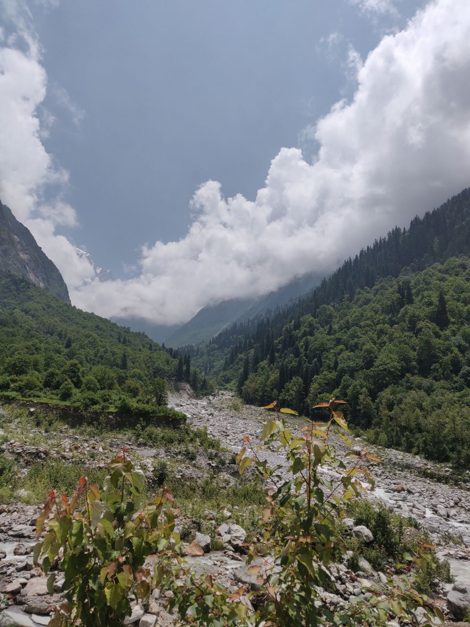 Photo of Valley of Flowers Trek- Everything You Need To Know by Prerika Gupta