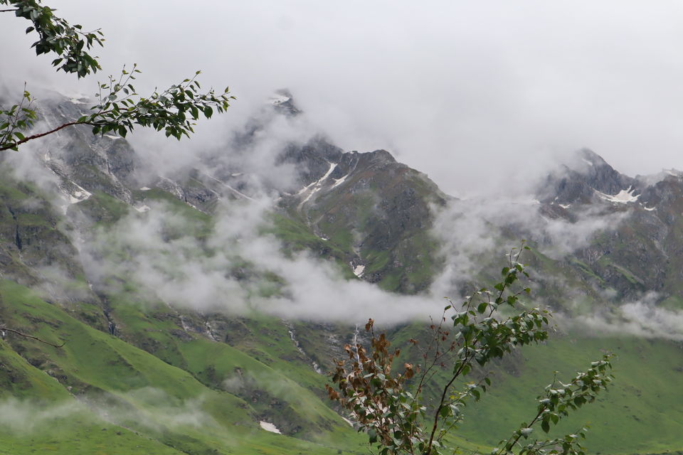Photo of Valley of Flowers Trek- Everything You Need To Know by Prerika Gupta