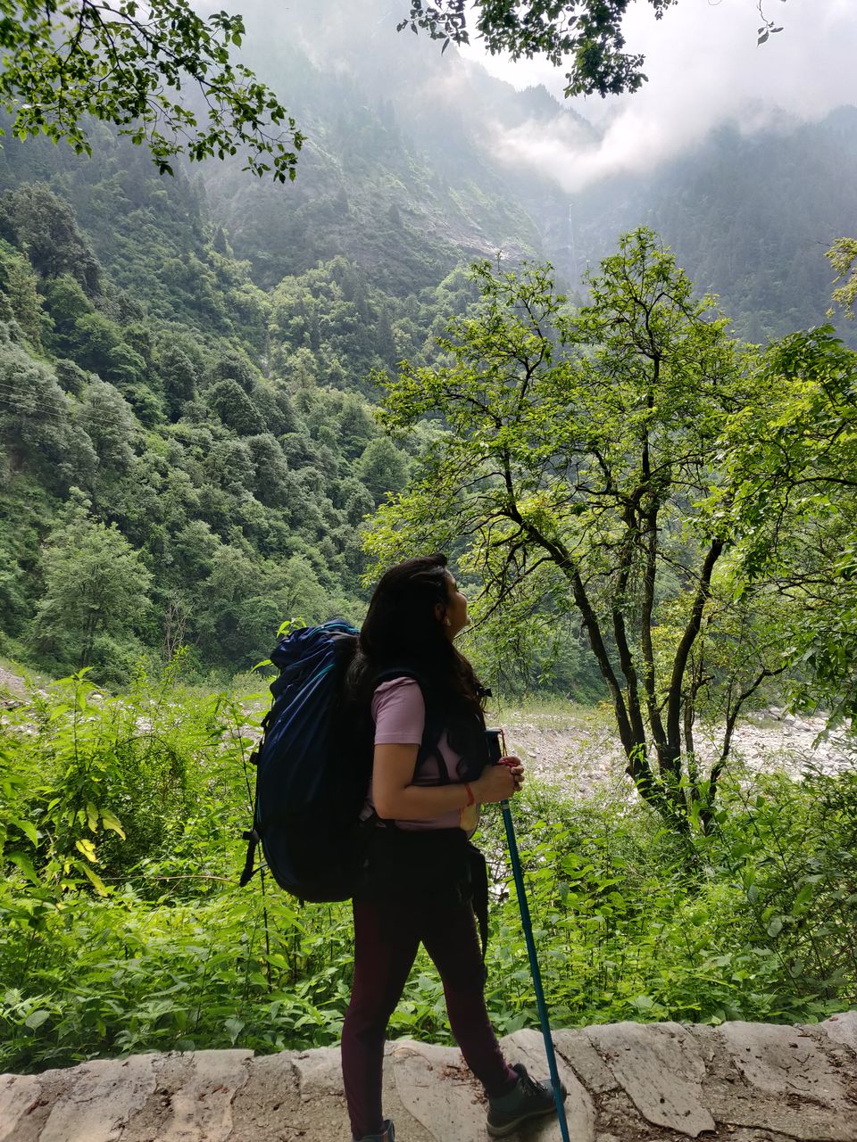 Photo of Valley of Flowers Trek- Everything You Need To Know by Prerika Gupta