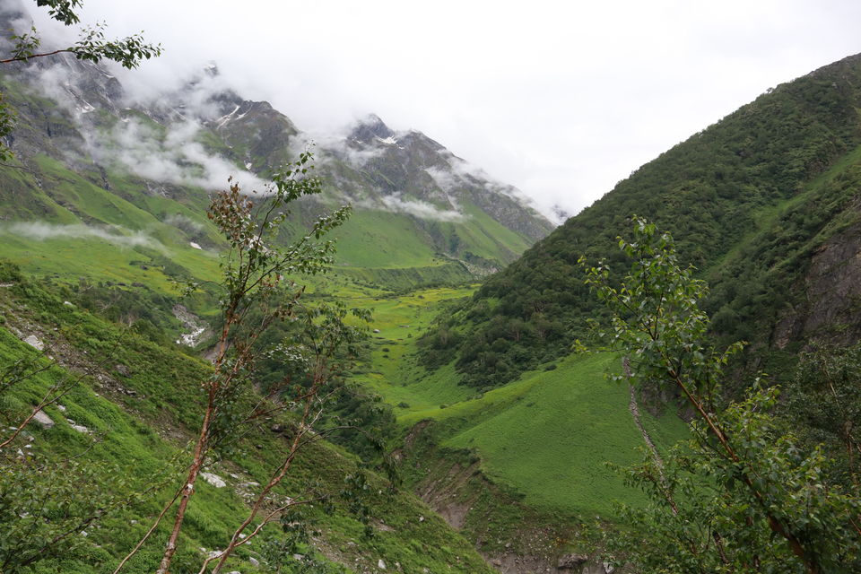 Photo of Valley of Flowers Trek- Everything You Need To Know by Prerika Gupta