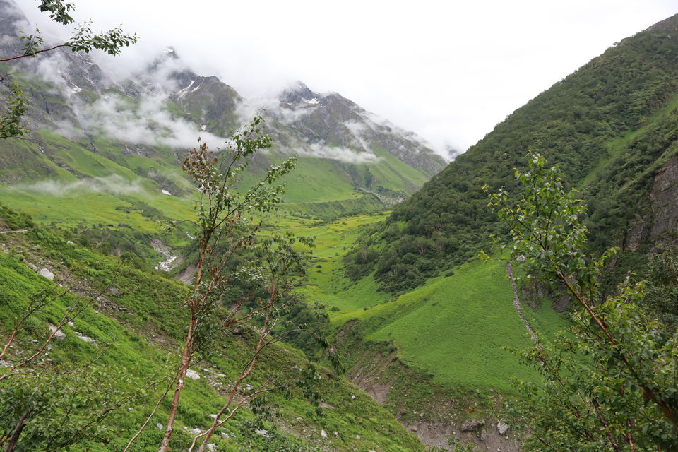 Photo of Valley of Flowers Trek- Everything You Need To Know by Prerika Gupta
