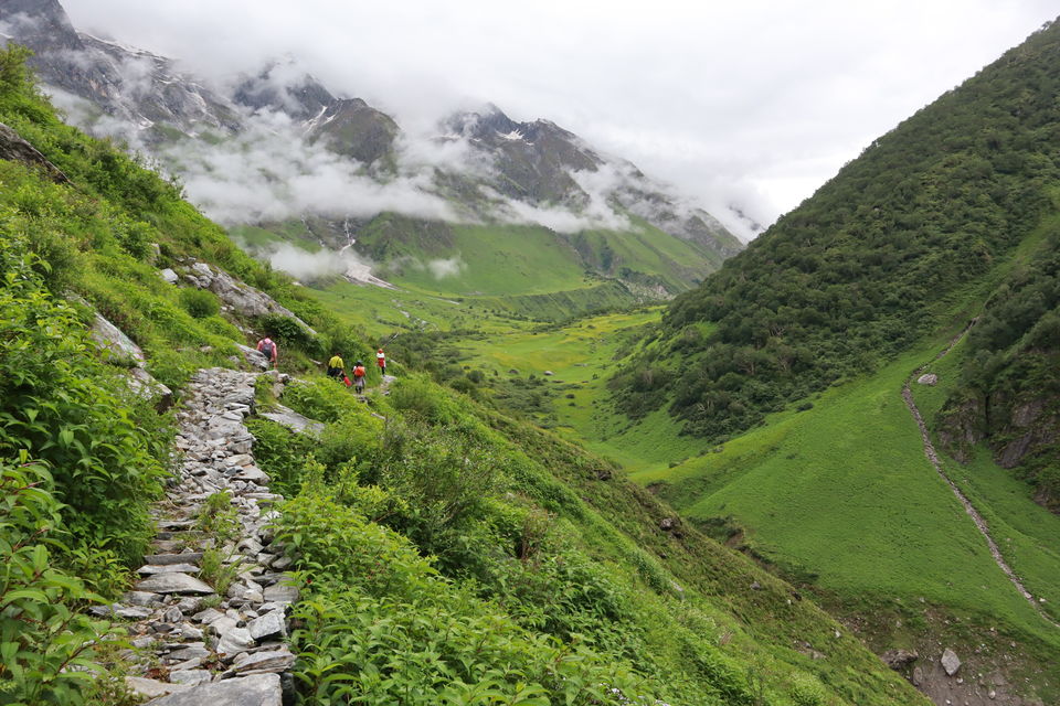 Photo of Valley of Flowers Trek- Everything You Need To Know by Prerika Gupta