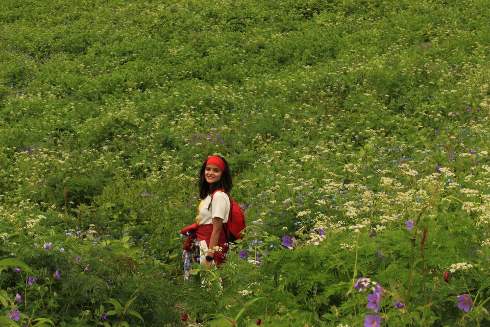 Photo of Valley of Flowers Trek- Everything You Need To Know by Prerika Gupta