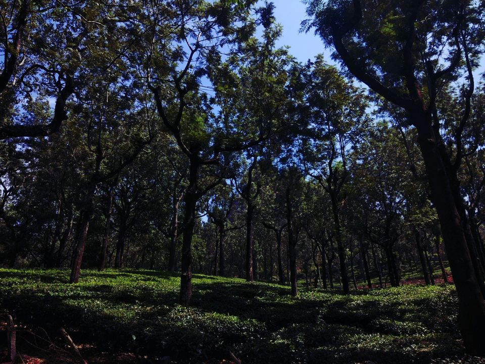 Photo of Ooty, Tamil Nadu, India by deepak agarwal