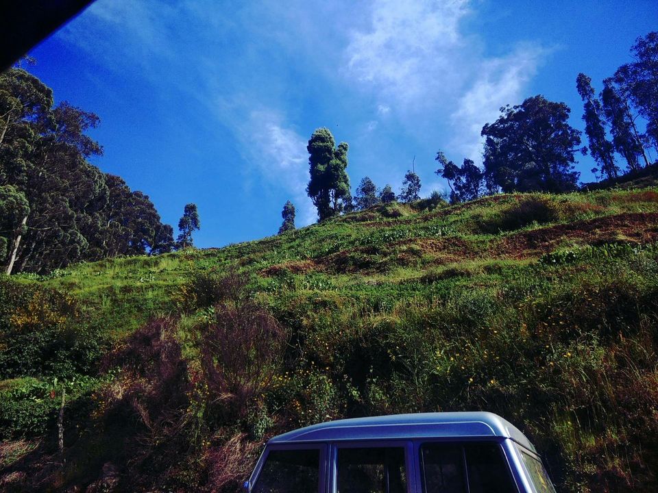 Photo of Ooty, Tamil Nadu, India by deepak agarwal