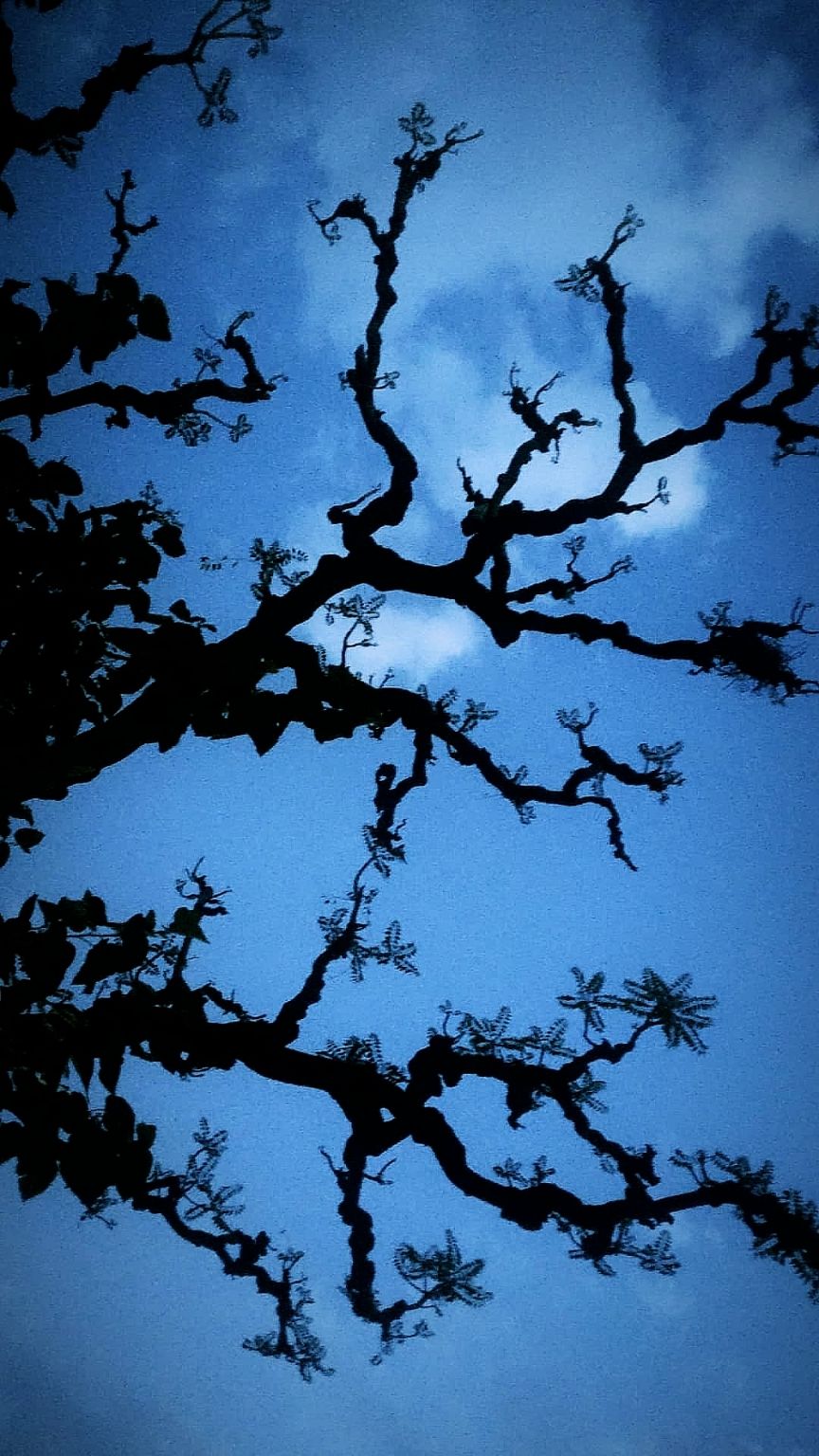 Photo of Coonoor, Tamil Nadu, India by deepak agarwal
