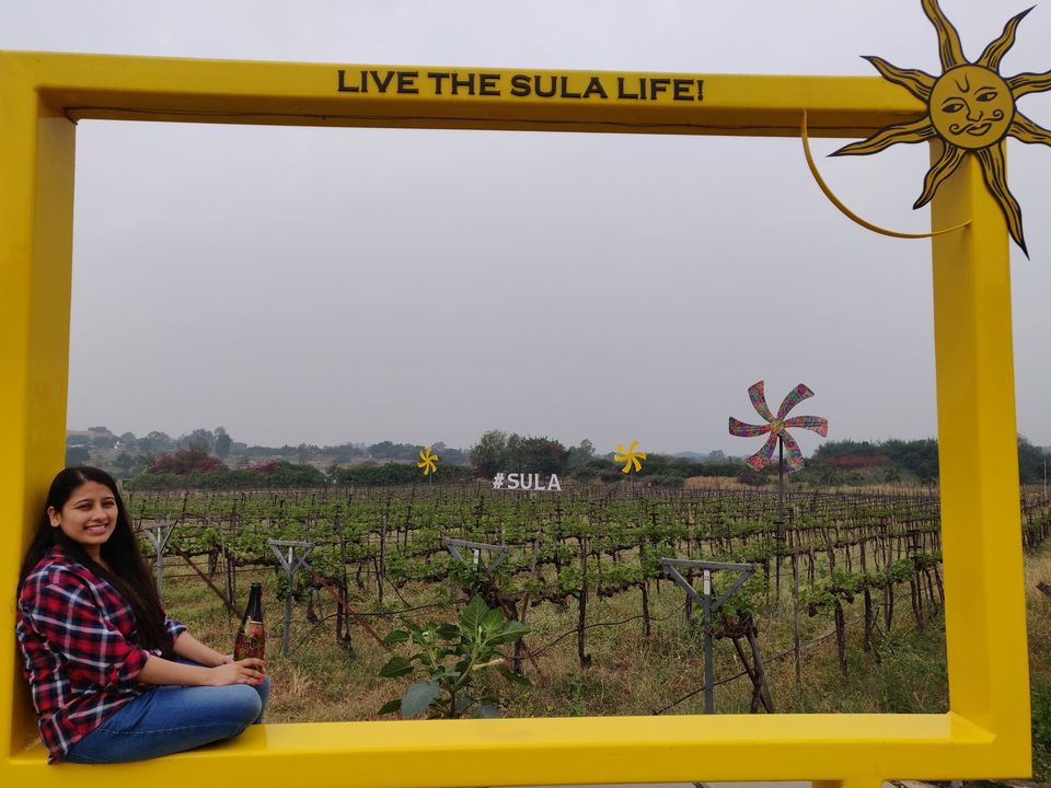 Photo of A Day Trip to Sula Vineyard: Perfect Gateway from Mumbai 6/8 by vagabondpooja