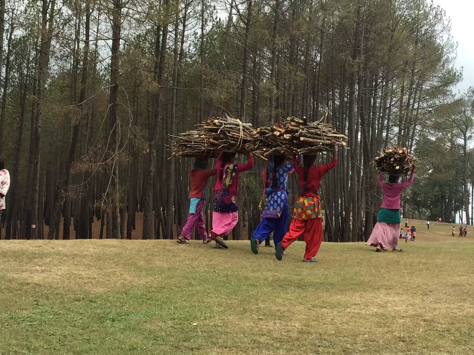 Photo of Ayarpatta,Nainital by Manas Agarwal