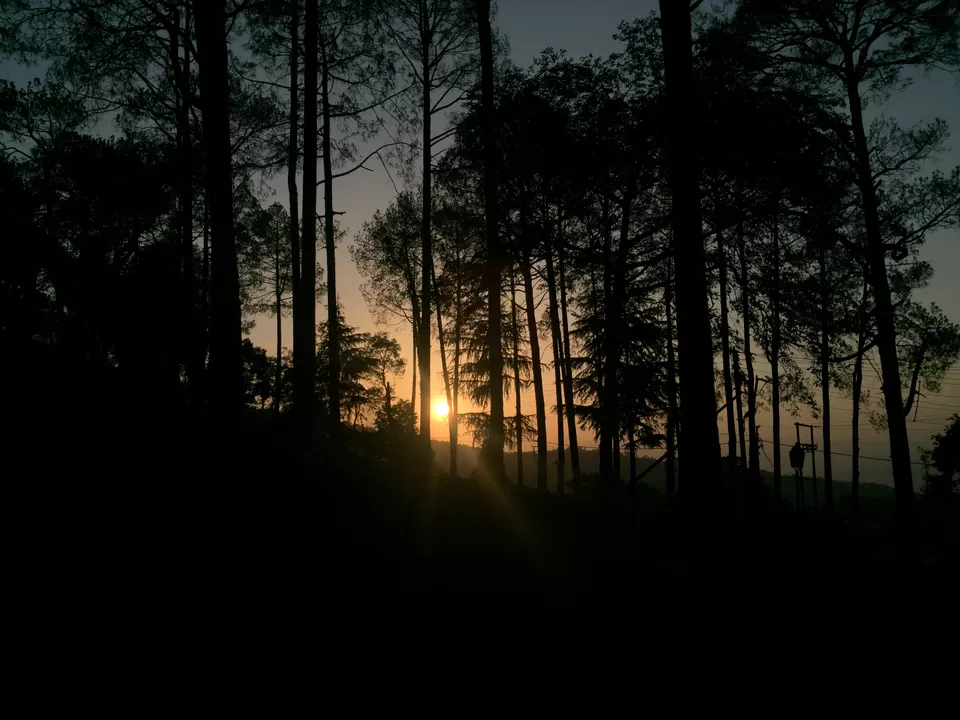 Photo of Ayarpatta,Nainital by Manas Agarwal