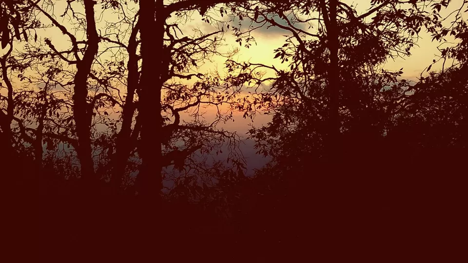 Photo of Ayarpatta,Nainital by Manas Agarwal