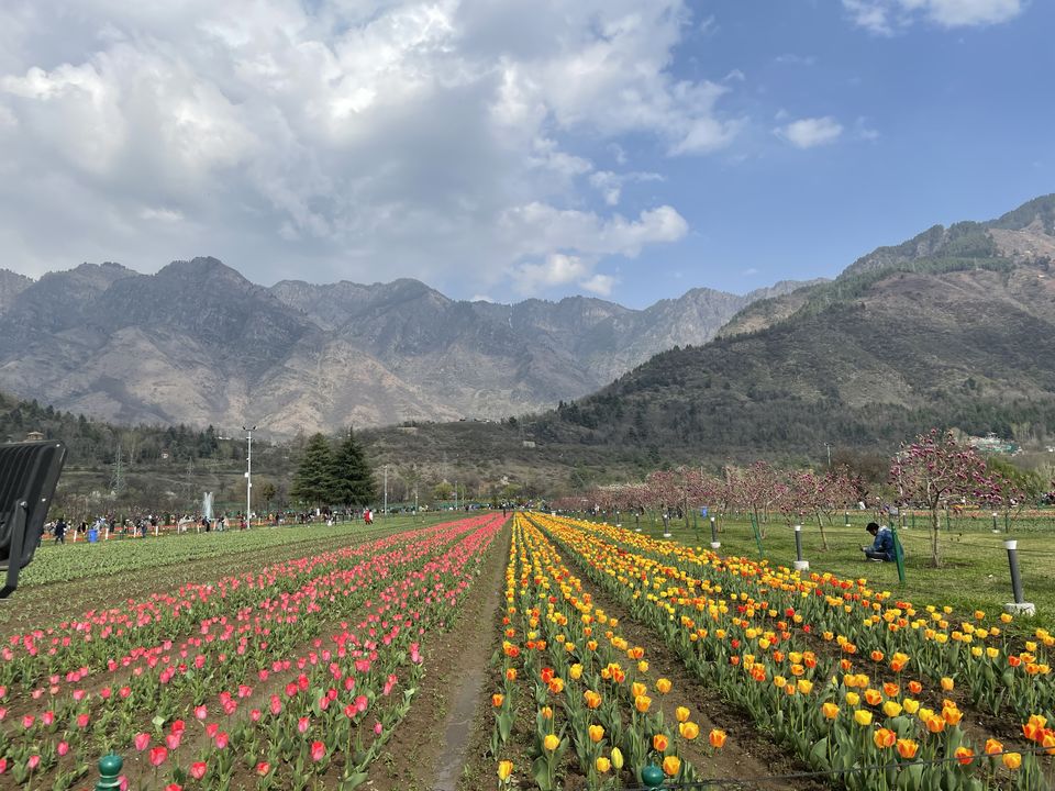 Photo of Srinagar by Manas Agarwal