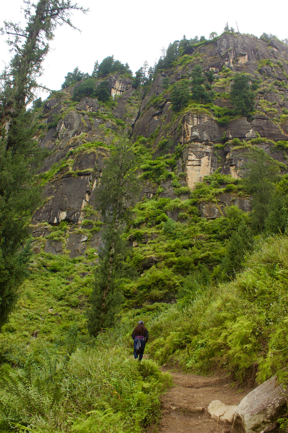 Photo of Jogini Waterfall, Manali : An Enthralling Experience Of Our First Trek Together 8/24 by Yogesh Mankani