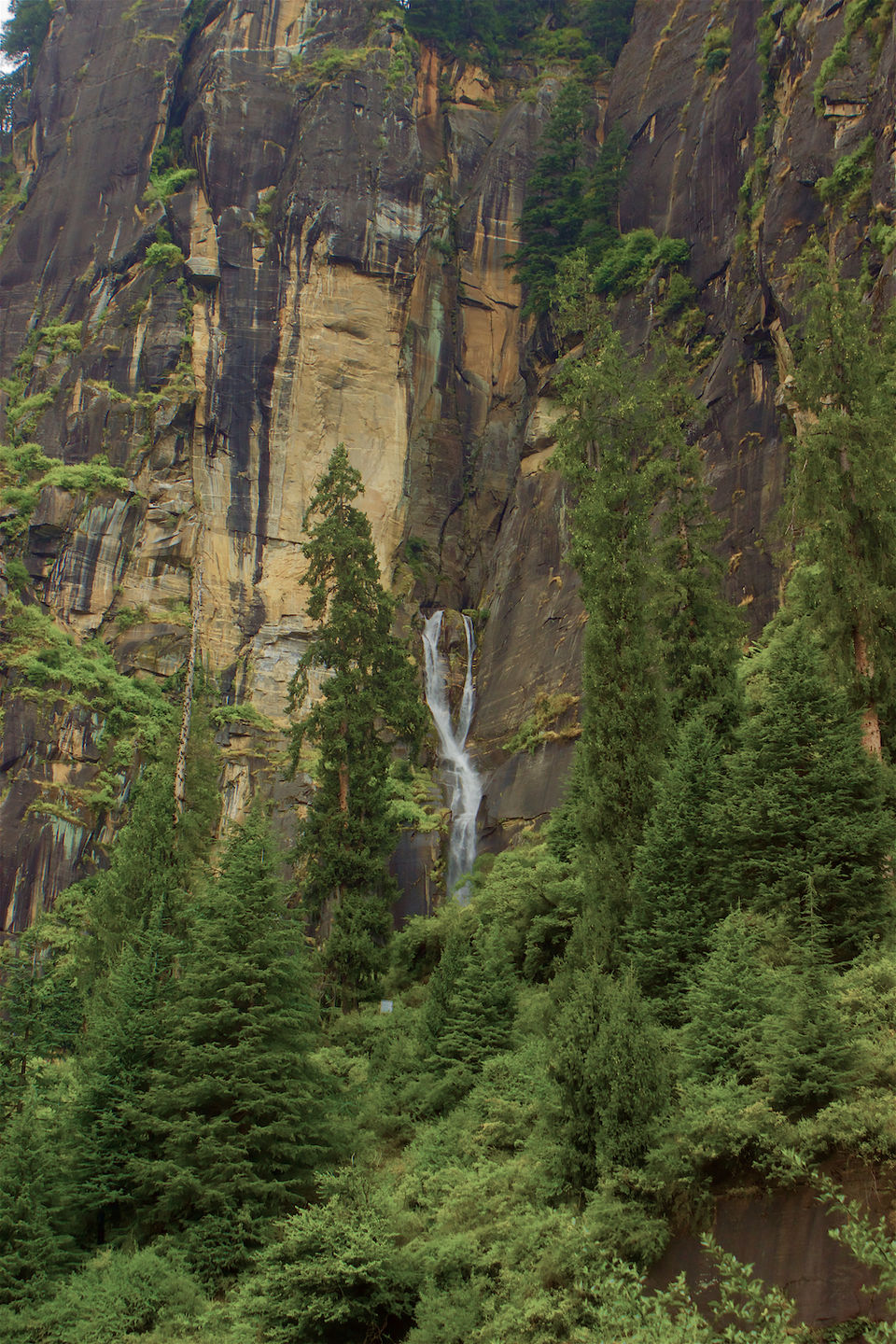 Photo of Jogini Waterfall, Manali : An Enthralling Experience Of Our First Trek Together 11/24 by Yogesh Mankani