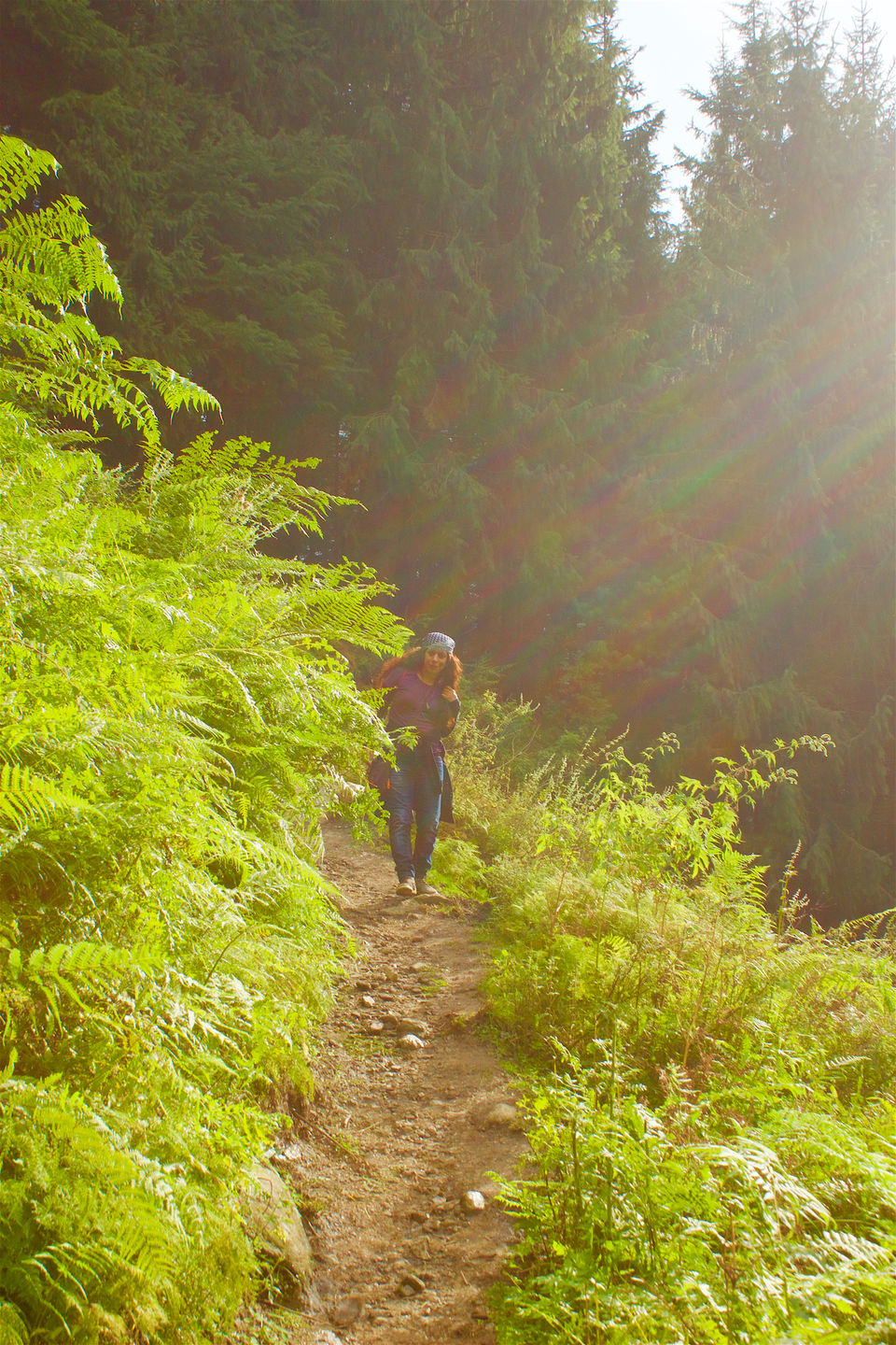 Photo of Jogini Waterfall, Manali : An Enthralling Experience Of Our First Trek Together 20/24 by Yogesh Mankani