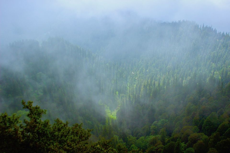 Photo of Why You Should Visit Shimla In Monsoons? 9/17 by Yogesh Mankani