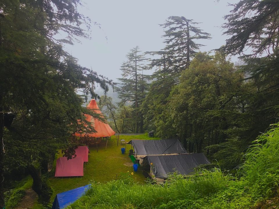 Photo of Why You Should Visit Shimla In Monsoons? 14/17 by Yogesh Mankani