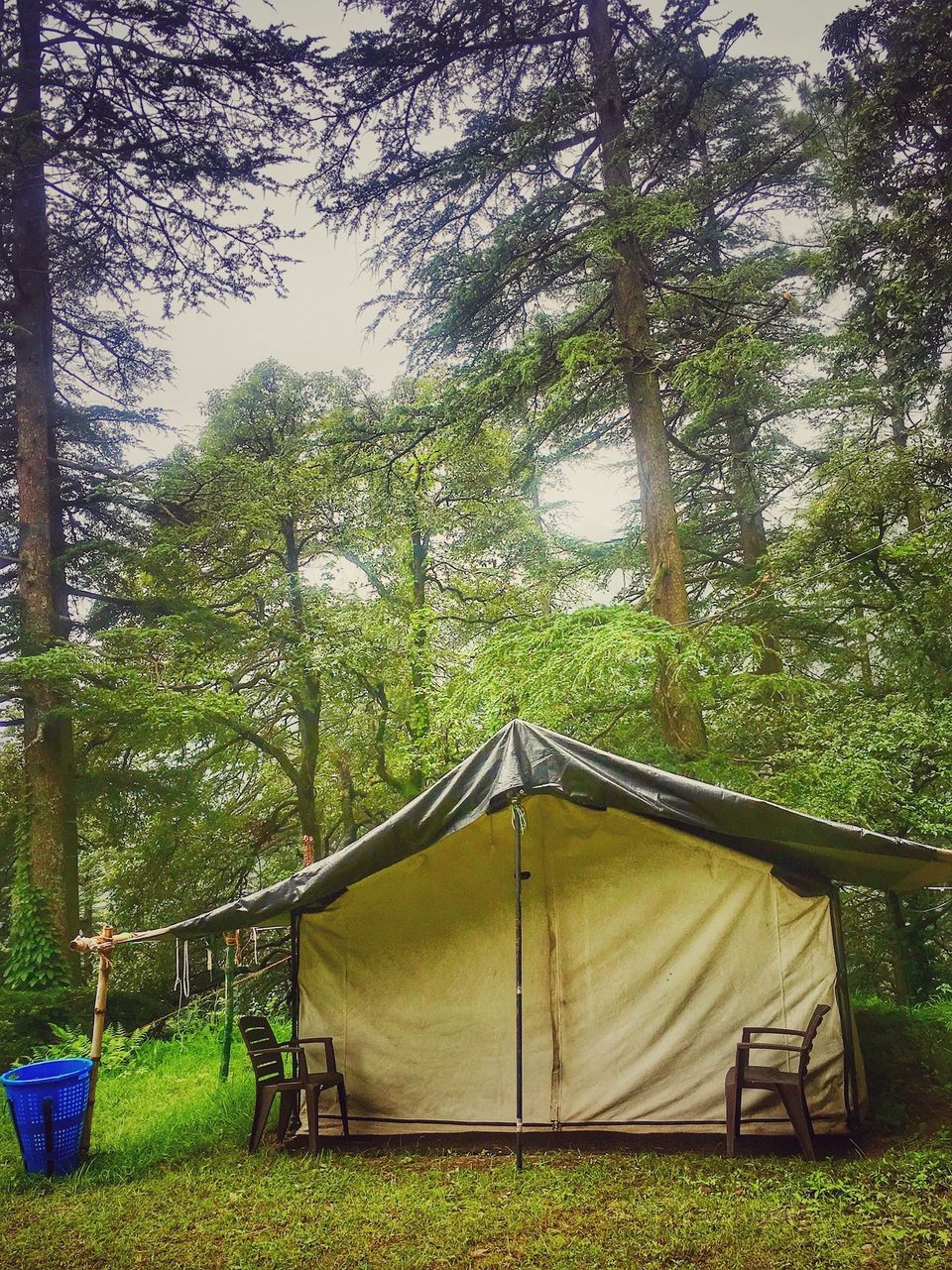 Photo of Why You Should Visit Shimla In Monsoons? 15/17 by Yogesh Mankani