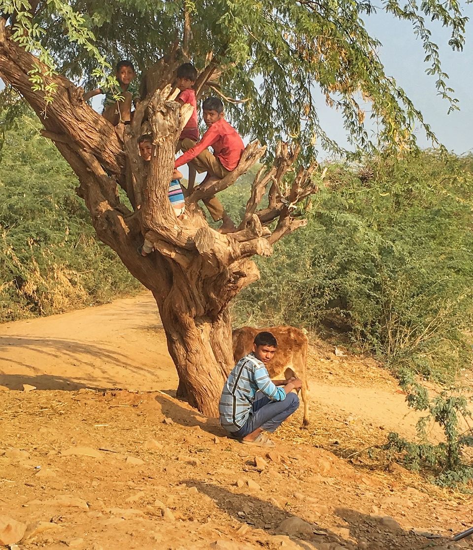 Photo of Experience The Countryside Life At AmourCasa Homestay in Bundi | CoupleOnBike 5/26 by Yogesh Mankani