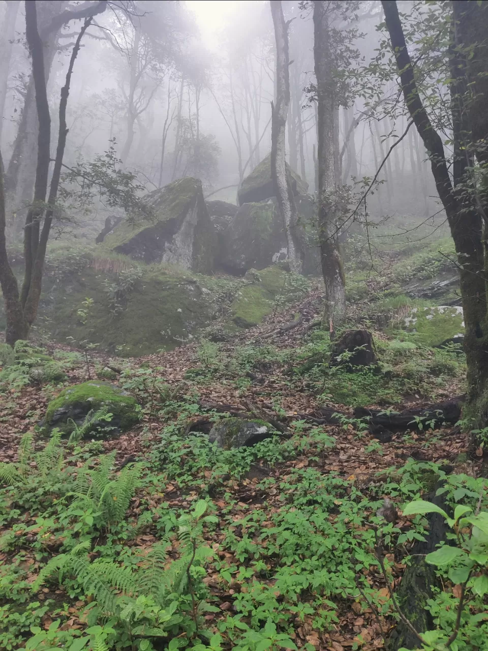 Photo of Tirthan Valley by Paras Chandna