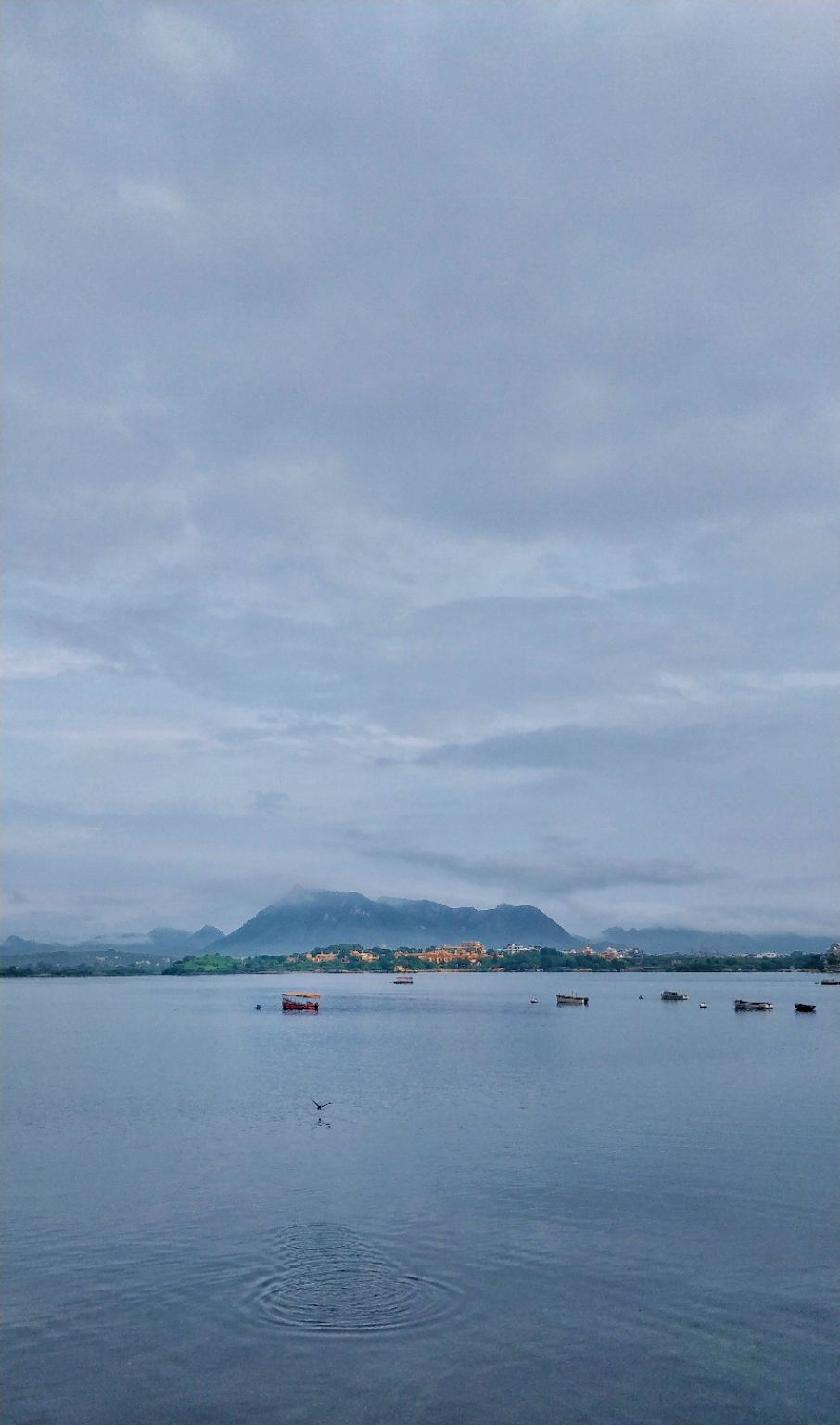 Photo of The Morning I Arrived Udaipur by Varun Godara
