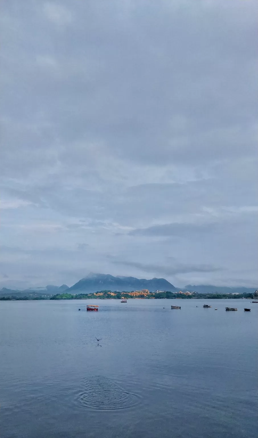 Photo of The Morning I Arrived Udaipur by Varun Godara