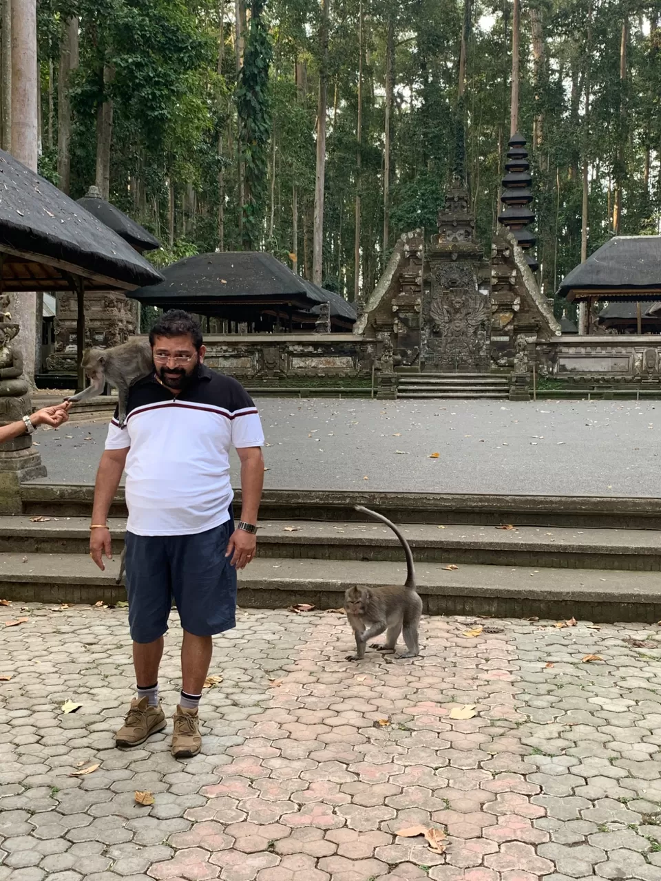 Photo of Sacred Monkey Forest Sanctuary, Jalan Monkey Forest, Ubud, Gianyar, Bali, Indonesia by Angela Varghese