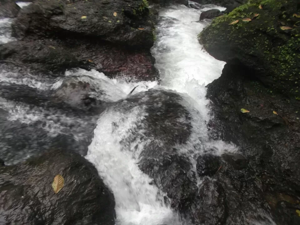 Photo of Chikmagalur, Karnataka, India by Deepak Kalivarathan