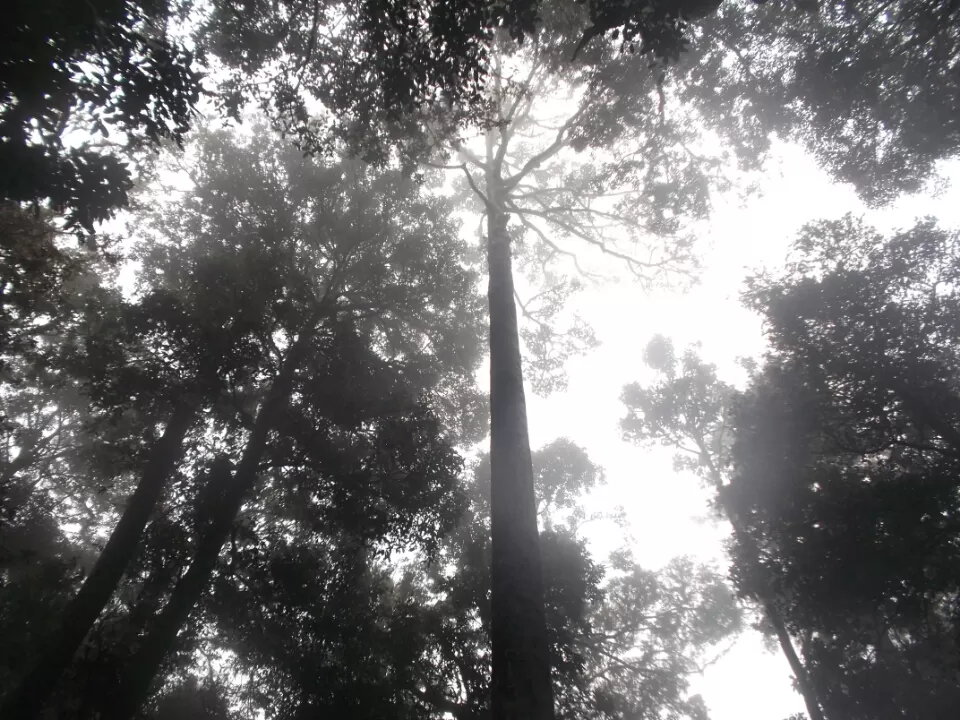 Photo of Chikmagalur, Karnataka, India by Deepak Kalivarathan
