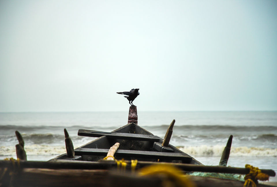 Photo of Goa - Peace capital! #photojourney by Siddharth Bangera