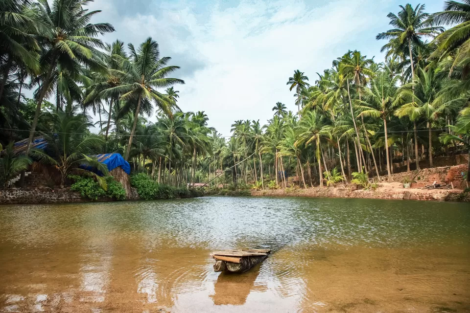 Photo of Cola, Goa, India by Siddharth Bangera