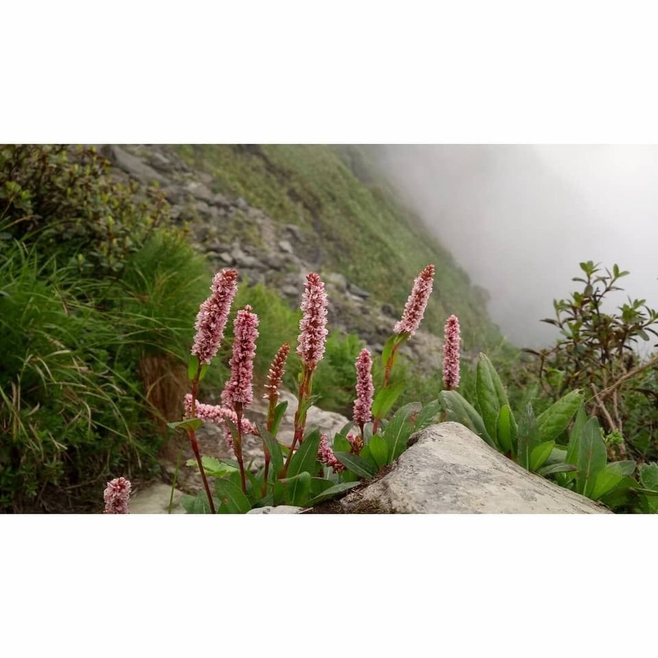 Photo of Shrikhand Mahadev, Himachal Pradesh, India by Shubhee