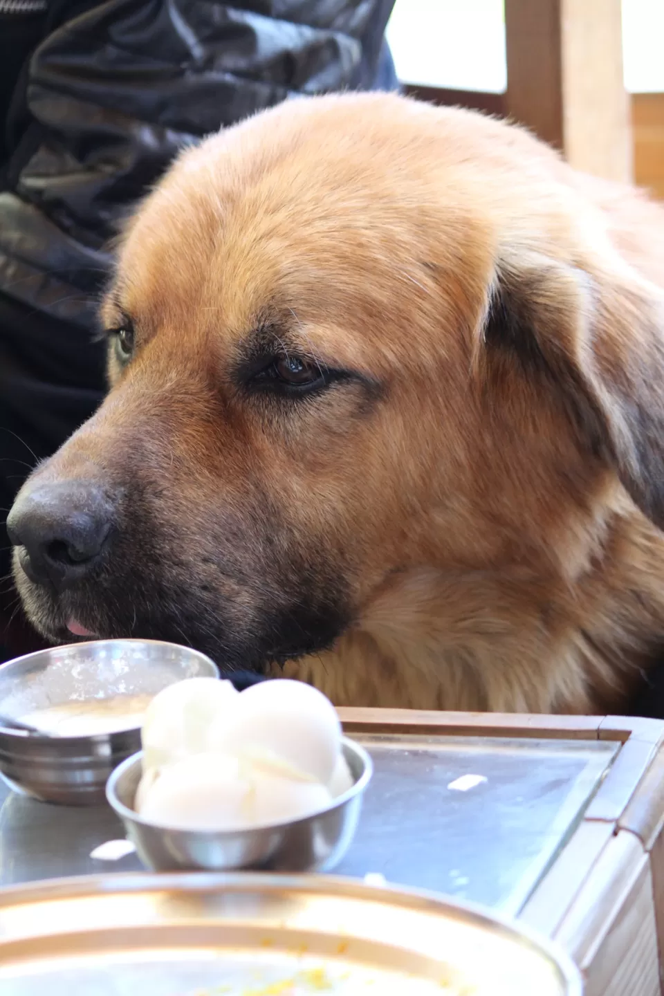 Photo of And this time, It was all about Me ! by Dipali Katta