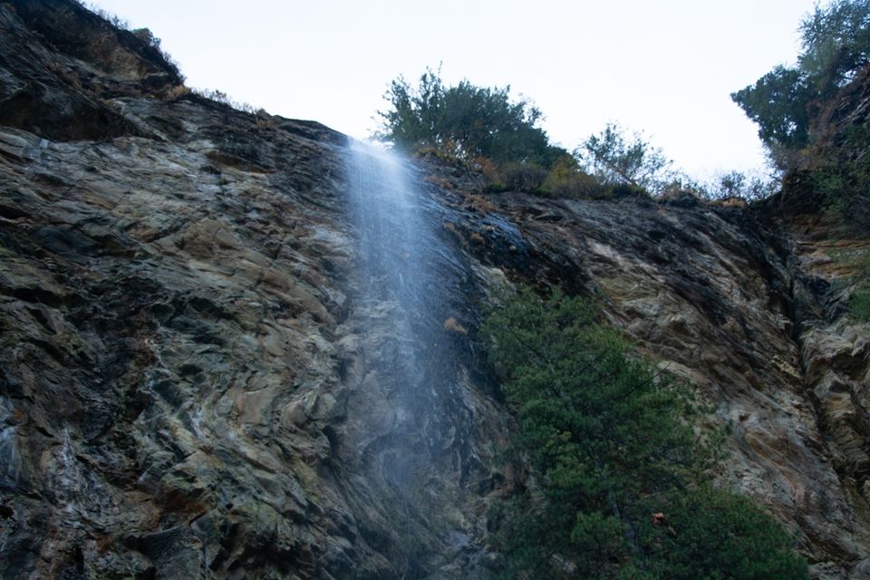 Photo of Maggie, Magic Pebble and Mahadev by Dipali Katta