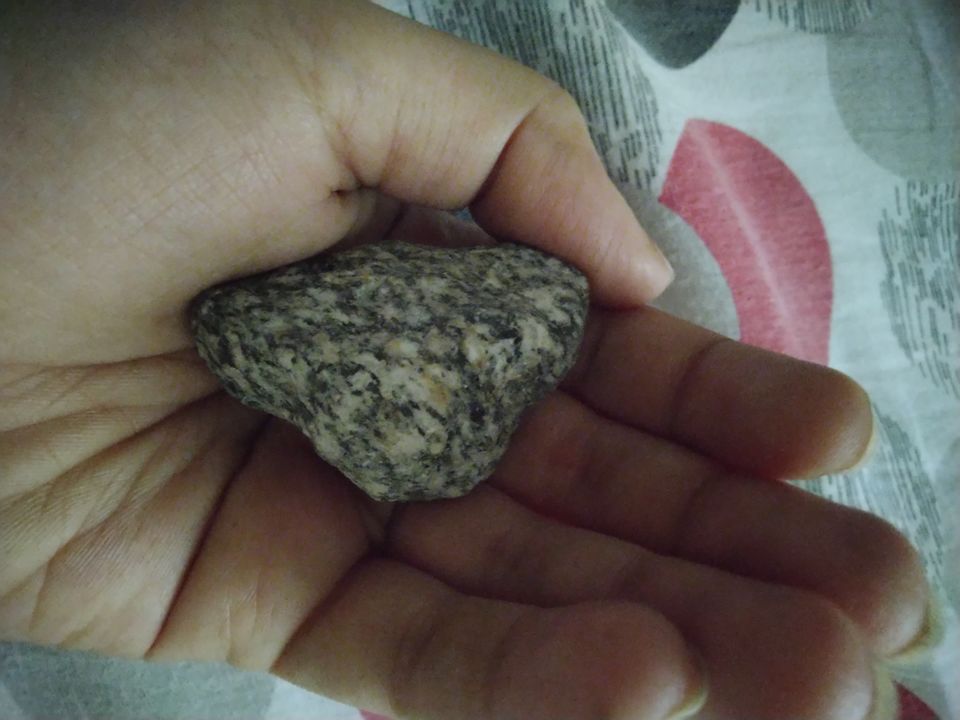 Photo of Maggie, Magic Pebble and Mahadev by Dipali Katta