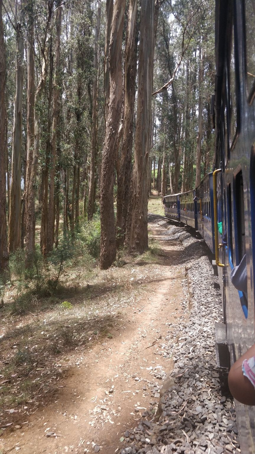 Photo of Ooty, Tamil Nadu, India by Nishant Kumar