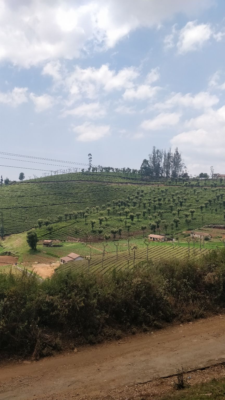 Photo of Ooty, Tamil Nadu, India by Nishant Kumar
