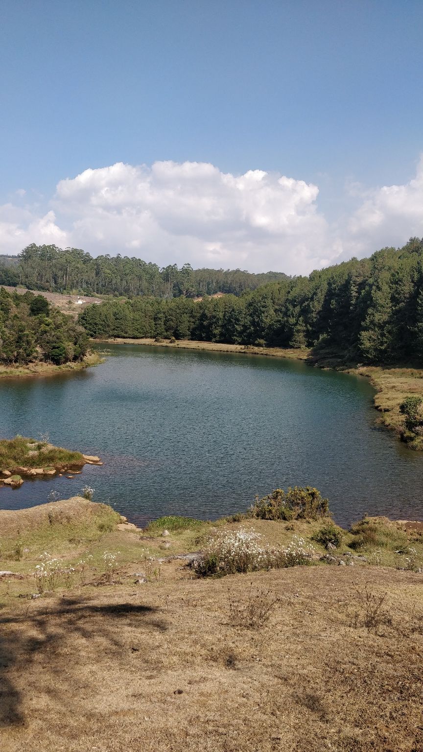 Photo of Ooty, Tamil Nadu, India by Nishant Kumar