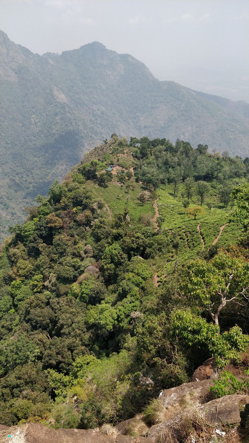 Photo of Ooty, Tamil Nadu, India by Nishant Kumar