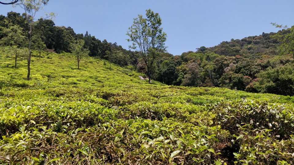 Photo of Ooty, Tamil Nadu, India by Nishant Kumar