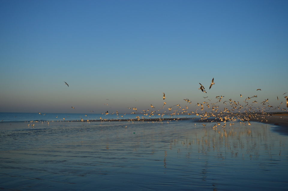 Photo of Mandvi, Gujarat, India by Nikita Sah