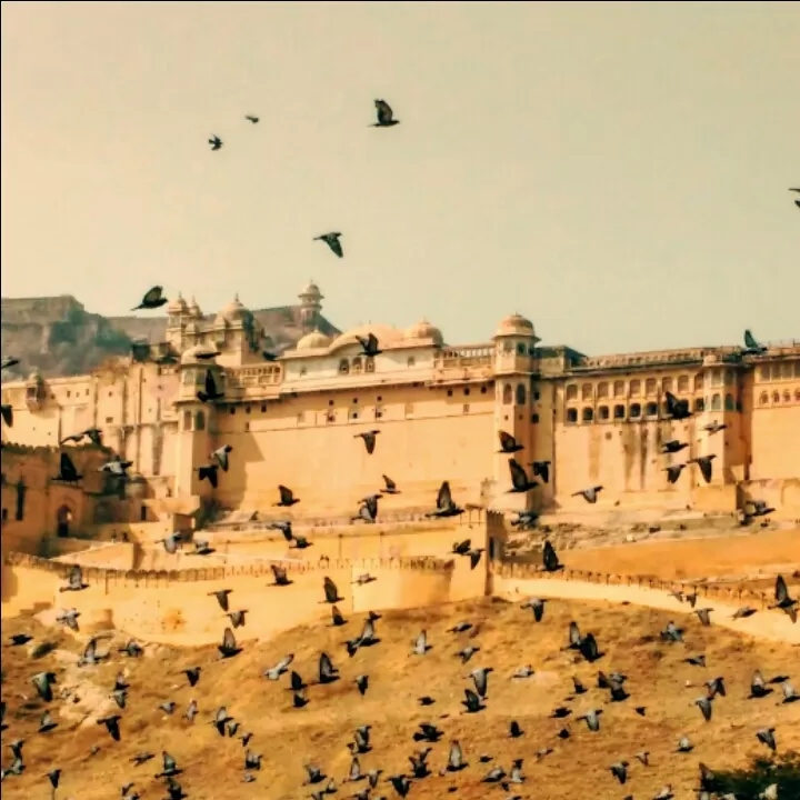 Photo of Jagmandir, Udaipur, Rajasthan, India by Satyam Kumar