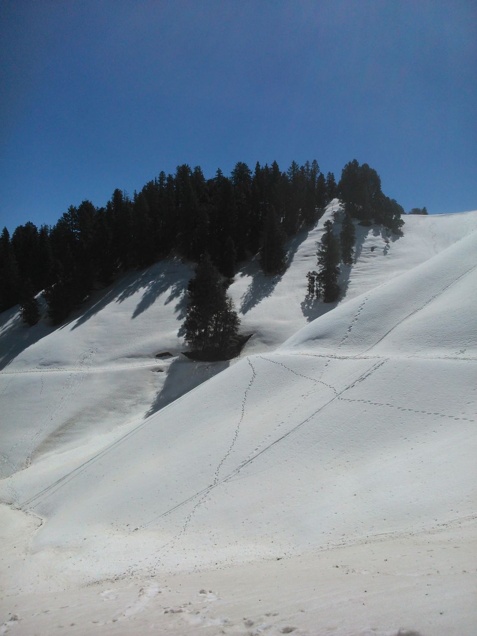 Photo of Shikari Devi : The Road Not Taken by Satyam Kumar