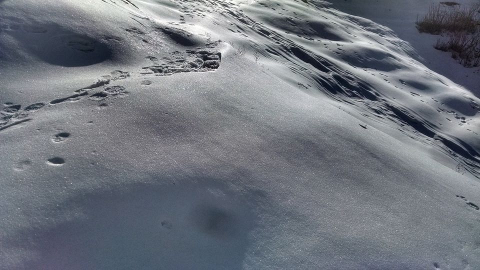 Photo of Dalhousie's Odyssey: 3 Days At Its Best 5/12 by Satyam Kumar