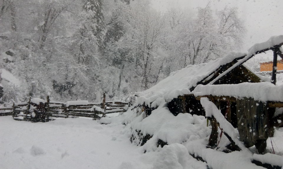 Photo of In the Parvati Valley( Malana, Kasol,Tosh,Kheerganga) and the Myths associated by Satyam Kumar