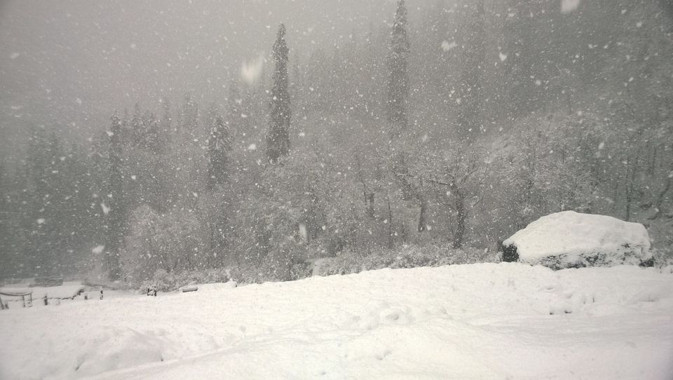 Photo of In the Parvati Valley( Malana, Kasol,Tosh,Kheerganga) and the Myths associated by Satyam Kumar