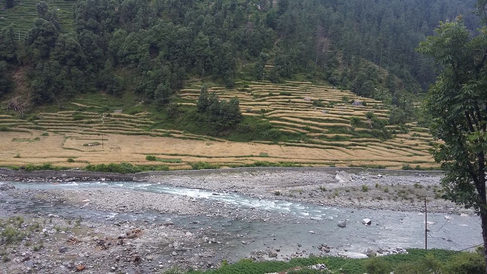 Photo of Barot Valley: An Emanate Place in Himalayas for Tourists. 1/10 by Satyam Kumar