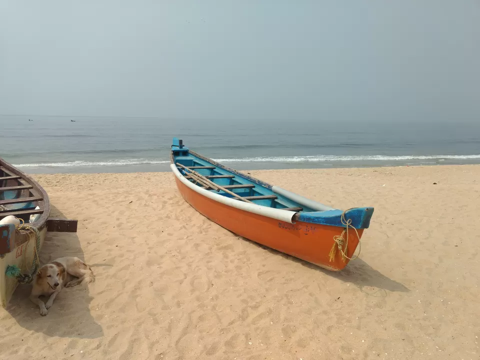 Photo of Tannirbhavi Beach, Kasba Bengre, Mangaluru, Karnataka, India by Satyam Kumar