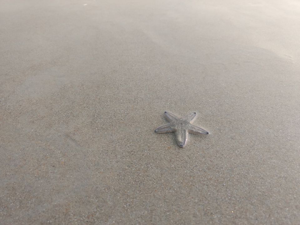 Photo of Someshwara Beach, Someshwara Temple Road, Baindur, Karnataka, India by Satyam Kumar