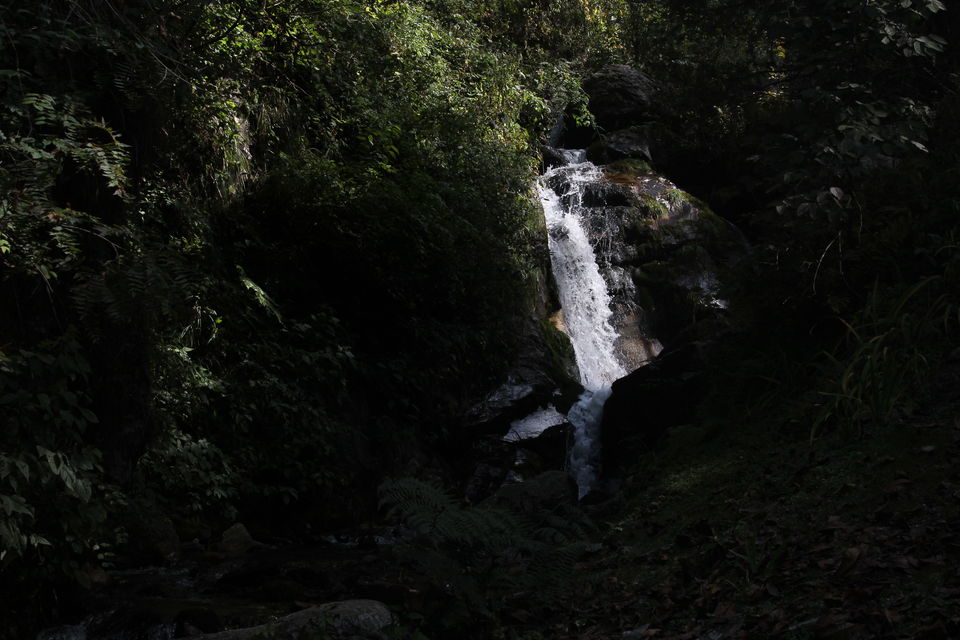 Photo of Grahan Camp - Sar Pass (YHAI), Sosan, Himachal Pradesh, India by Tani Siga